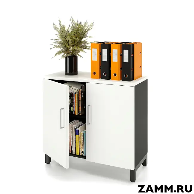 Шкаф ZAMM распашной 2 полки, 2 двери. На металлокаркасе 900 (Ш:900, Г:414, В:831)